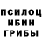 Галлюциногенные грибы Psilocybine cubensis Raven MK
