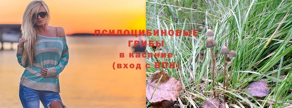 шишки Киреевск
