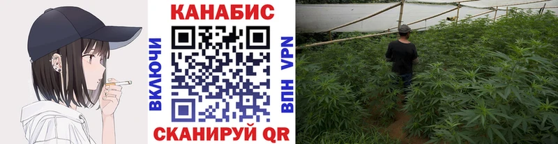 Купить где  Терек  МАРИХУАНА White Widow 